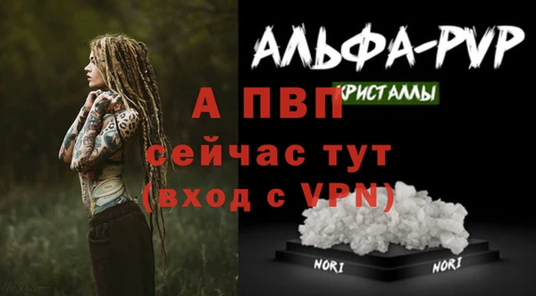ешки Великий Новгород