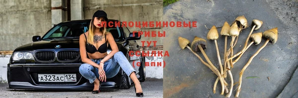 гидропоника Краснотурьинск