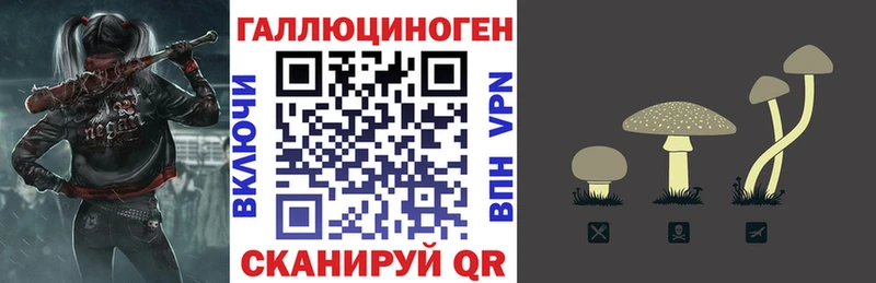 как найти закладки  KRAKEN tor  Галлюциногенные грибы GOLDEN TEACHER  Сясьстрой 